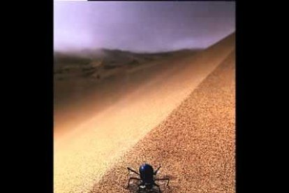 Trasladémonos a Namibia y observemos la estrategia de supervivencia de esta cucaracha. Aprovecha la escarcha que provocan las bajas temperaturas nocturnas para refrescarse cuando comienza el calor.