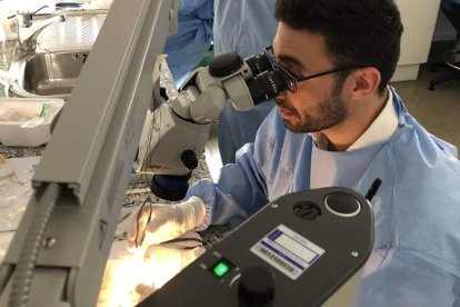 Magnificación óptica para acceder a lugares milimétricos. DL