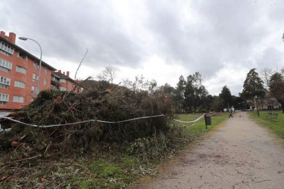 Montón de maleza que fue retirada del parque. ANA F. BARREDO
