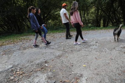 El vial de 1,2 kilómetros de la Faba a Bargelas está mal. ANA F. BARREDO