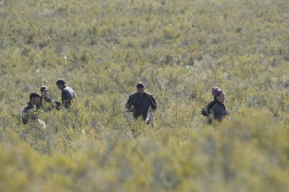 La plantación se realizó en terrenos de Anllares. L. DE LA MATA
