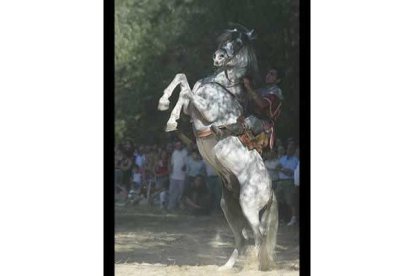 Las espectaculares acrobacias a caballo hicieron las delicias de los cientos de asistentes a estas justas.