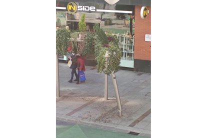 Estado en el que quedó la pérgola. EDUARDO MARTÍNEZ PINTO