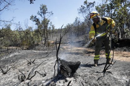 Un bombero refresca el terreno calcinado. JESÚS F. SALVADORES