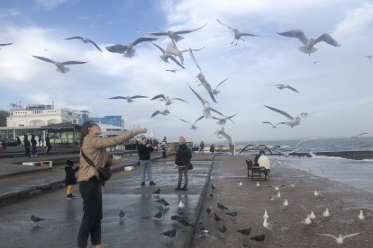 Una joven da de comer a las gaviotas en una de las playas de Odesa. GERVASIO SÁNCHEZ