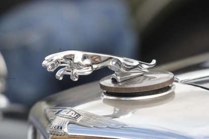 El símbolo de Jaguar. L. DE LA MATA