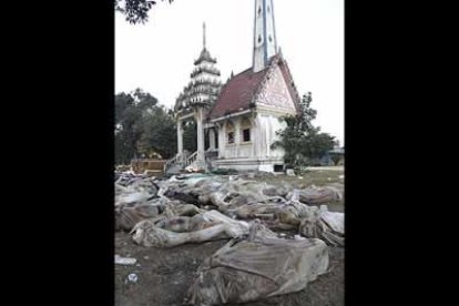 La ONU teme que estas cifras aterradoras se dupliquen por la proliferación de epidemias.