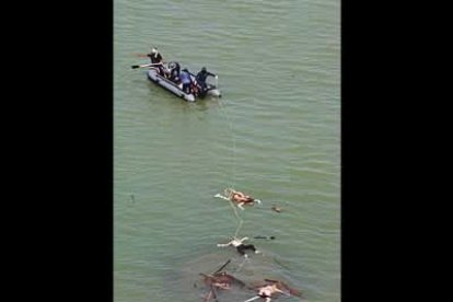 Mientras las cifras de muertos y desaparecidos aumentan, ya se sabe que en países como Tailandia centenares de turistas han perdido la vida.