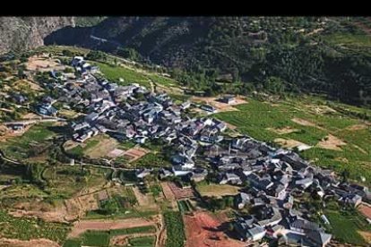 San Pedro de Olleros deja discurrir a su orilla el caudal del río Ancares antes de encontrarse con el Cúa. Abajo, peculiaridad de una repoblación forestal.