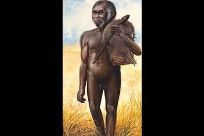 El hallazgo de este ser humano que al parecer habitó la isla de Flores (Indonesia) indica que la biodiversidad humana es mayor de lo que se conocía.