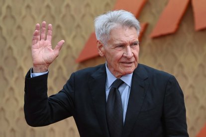 Harrison Ford. NEIL HALL