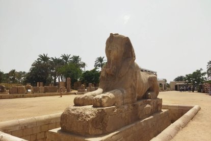 Esfinge de Hatshepsut con cuerpo de león. GAITERO