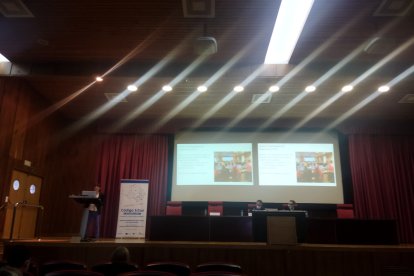 Presentación del Código Ictus en el Caule. GAITERO