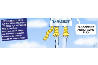 Juárez 23 de mayo 2020