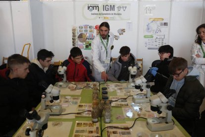 Inauguración de Expociencia. FERNANDO OTERO