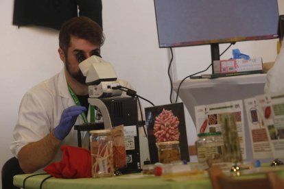 Inauguración de Expociencia. FERNANDO OTERO