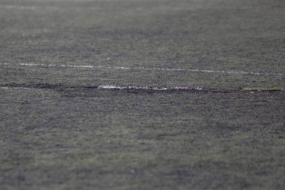 Más zonas del campo reventadas. FERNANDO OTERO