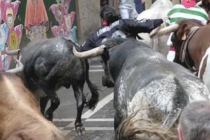 En la curva de Mercaderes fue corneado en la axila derecha el americano Víctor Lombardi por uno de los Miura.