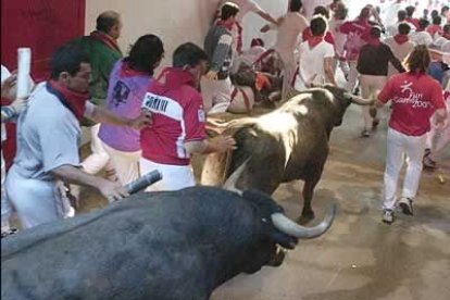 La carrera prosiguió sin incidentes tanto por Telefónica como en el callejón de acceso a la Plaza de Toros, donde dos adelantados se resistieron a entrar en chiqueros.