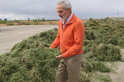 Matías Llorente, en 2009. NORBERTO