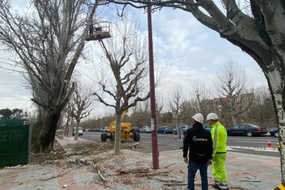 Los operarios vigilan los trabajos de descarga. RAMIRO