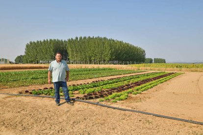César Pan ante el huerto experimental ubicado en Santibáñez de la Isla DANIEL PISABARRO