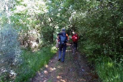 Ruta del 'Camino olvidado', a su paso por el Bierzo. CÉSAR SÁNCHEZ