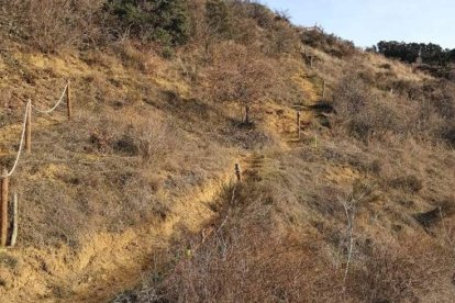 Acceso señalizado a la cueva de San Martín. DL