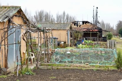 Arde de madrugada una caseta destinada a oficina en los huertos de La Candamia de León. CAMPILLO