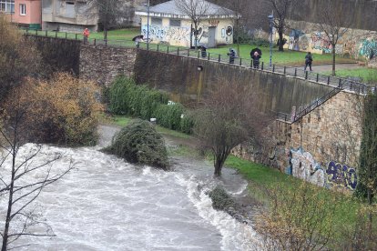 Así ha afectado el paso del temporal a Ponferrada. ANA F. BARREDO (5)