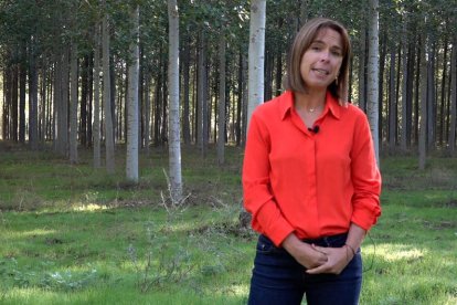 Flor Álvarez Taboada, ante una masa forestal, base de su trabajo e investigación. DL