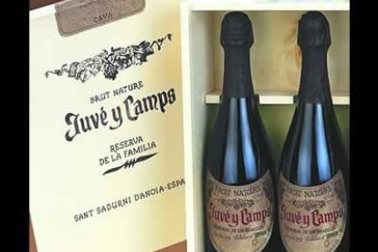 Nada mejor que un espumoso para brindar por las fiestas. Si no eres partidario del boicot al cava catalán, puedes probar el delicioso Juvé&Camps. A partir de 10 euros la botella.