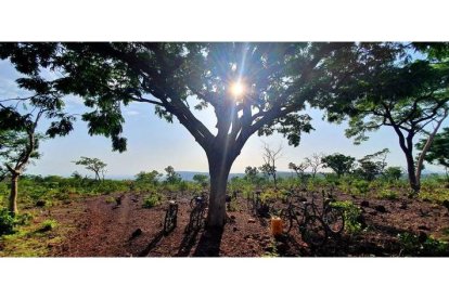 Bicicletas aparcadas en la cima e Dande, con pendientes del 75%. MANUEL FÉLIX