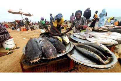 Las barcazas artesanales llegan a la orilla del Atlántico con el pescado fresco del día y lo venden sin bajarse del cayuco al mejor postor, que puja con el agua por la cintura. El trasiego hacia la arena de la playa es imparable. MANUEL FÉLIX