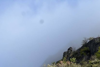 La cuarcita vestigio del Ordovícico ha llegado hasta el borde del camino rodando desde una cresta, azotada por la erosión. S.V.P.