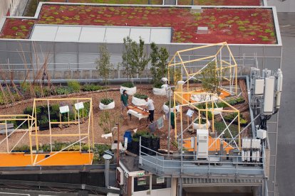 Uno de los primeros proyectos de techo verde en construcción. DARKORPEN