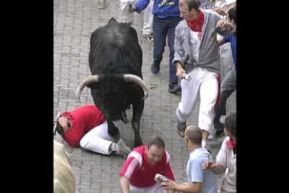 Las cogidas, pisadas y atropellos de los toros son frecuentes. Lo mejor quedarse en el suelo y dejar que el animal se aleje.