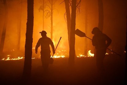 Efectivos de los Bomberos, en la Sierra de la Culebra. BOMBEROS DE LEÓN
