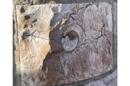 Detalle del fósil en una piedra de la fachada. MUSEO BOTINES.