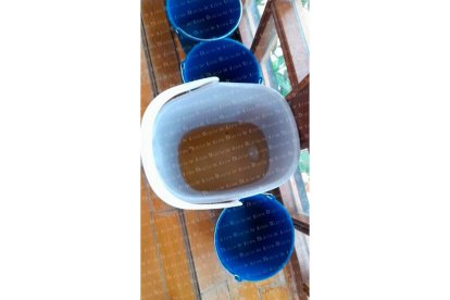 El agua se cuela en la Casa Panero. DL
