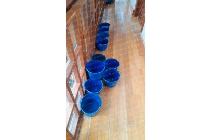 El agua se cuela en la Casa Panero. DL