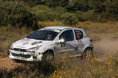 El rallye Reino de León puso al día la Copa de España. FERNADNO OTERO