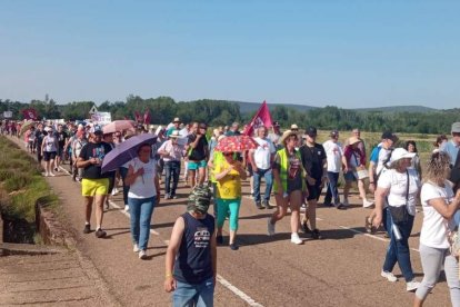 La imagen muestra la gran asistencia a la manifestación de ayer. DL