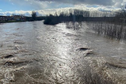 El río Órbigo a su paso por Cebrones del Río. RAMIRO