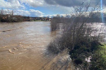 La peor situación se vive en el Tuerto a su paso por San Félix de la Vega, que se encuentra en nivel rojo, con un nivel de casi 95 metros cúbicos por segundo. RAMIRO