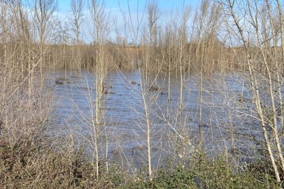 En nivel amarillo están el Duerna en Santiago de la Valduerna, el río Luna en Sena, el Omaña en Las Omañas y el Tuerto en Quintana del Castillo. RAMIRO