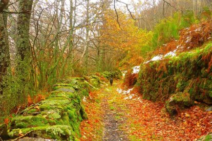 El paisaje de este punto remoto de León es realmente sobrecogedor. ANA F. BARREDO