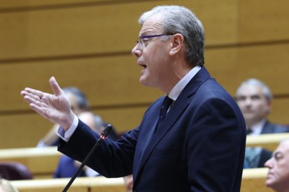 Antonio Silván en el Senado. DL