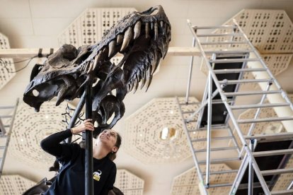 20230327-f32af2242bf66e0f0925a2714f73482742de821e_18034008_med