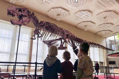 Con más de once metros de largo y casi cuatro y medio de alto, Trinity, el primer esqueleto de tiranosaurio que se subastará en Europa. MICHAEL BUHOLZER